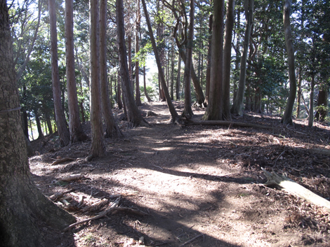 20170126hike (473)